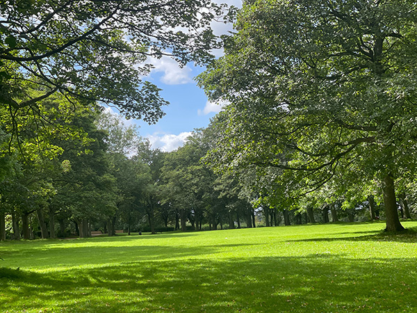 Photo of Woodhouse Moor